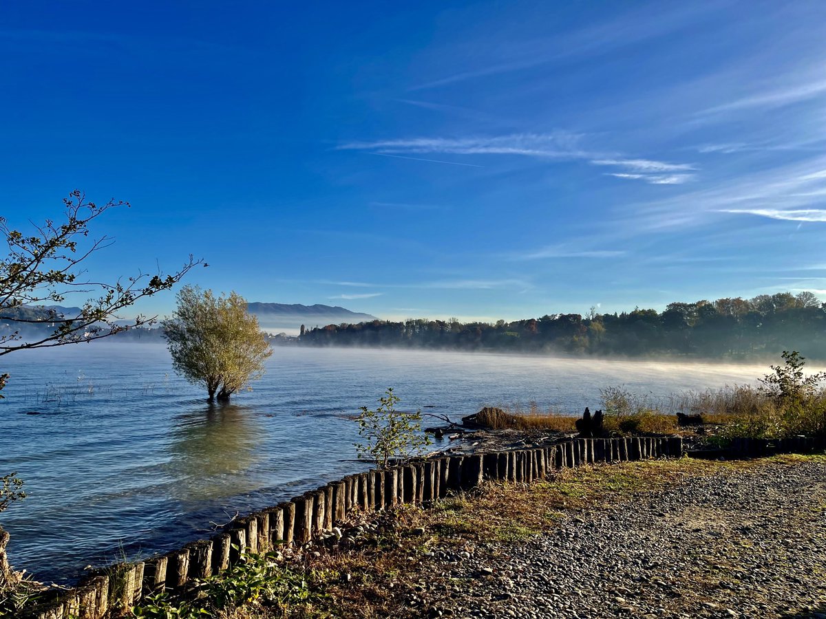 enzomazza's tweet image. #earlyrunning Lago Maggiore