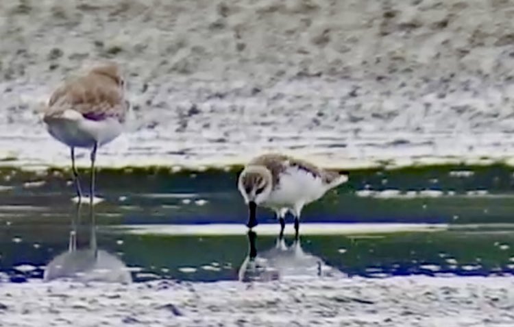 Marc Hughes tweet media