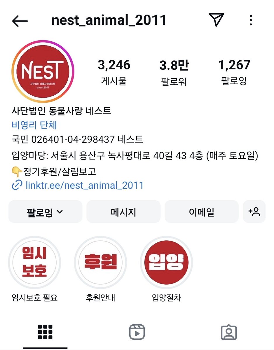 어여삐 수익금 일부는 유기동물들과 도움이 필요한 이웃을 위해 기부 하고 있어요💕
이번 로데에서는 롤타트친님들의 반려묘를 모티브로 작업하였는데요.
어여삐 보아주신 공주님들의 소중한 마음을 유기묘들을 위해 후원하였습니다 🐈‍⬛
동물사랑 네스트는 매주 토요일 이태원에서 입양마당이 열려요🩷