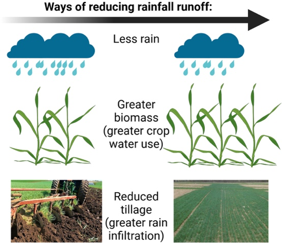 ClimateSA2024's tweet photo. New study out! 🌾💧 The potential to reduce runoff through improved cropping and tillage practices in a sub-humid continental climate. Explore how sustainable farming can enhance water management: https://t.co/fiqUdH54Qk #SoilHealth #WaterManagement #SustainableAgriculture https://t.co/VXpOzTaNs3
