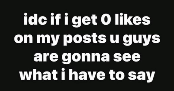 fernanda tweet media