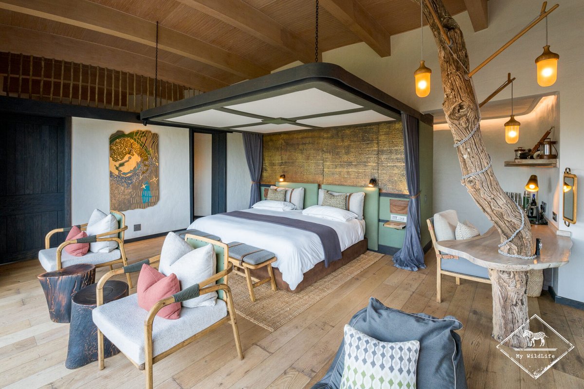 BlogMyWildlife's tweet image. Test et avis de l'Euphorbia Mashatu dans la Mashatu Game Reserve au Botswana : découvrez ce lodge 5 étoiles composé de 8 villas avec piscine privative. Une adresse très exclusive my-wildlife.com/avis-euphorbia… 😃