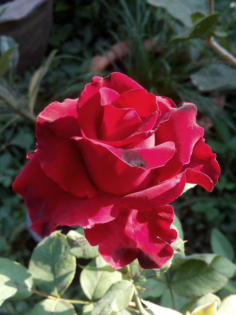akom25785's tweet image. 