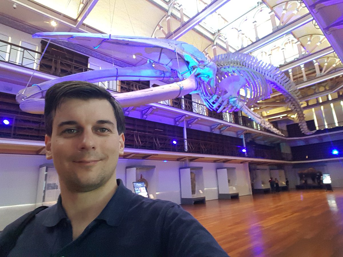 Blue Whale at <a href="/wamuseum/">Western Australian Museum</a> Boola Bardip for #SMM2024