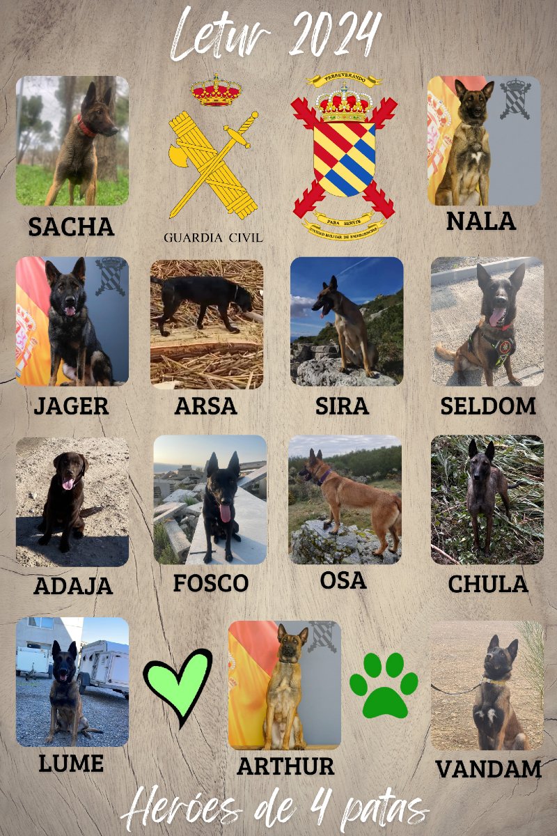 Guardia Civil Albacete🇪🇦 tweet media