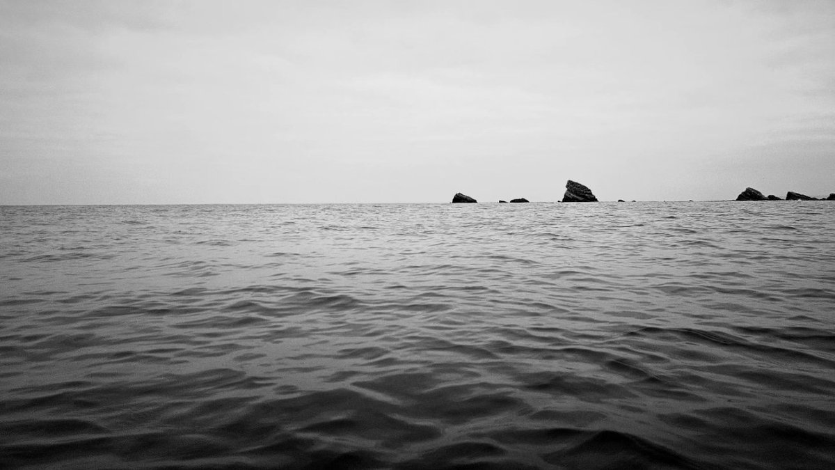 Justin Sargent tweet media