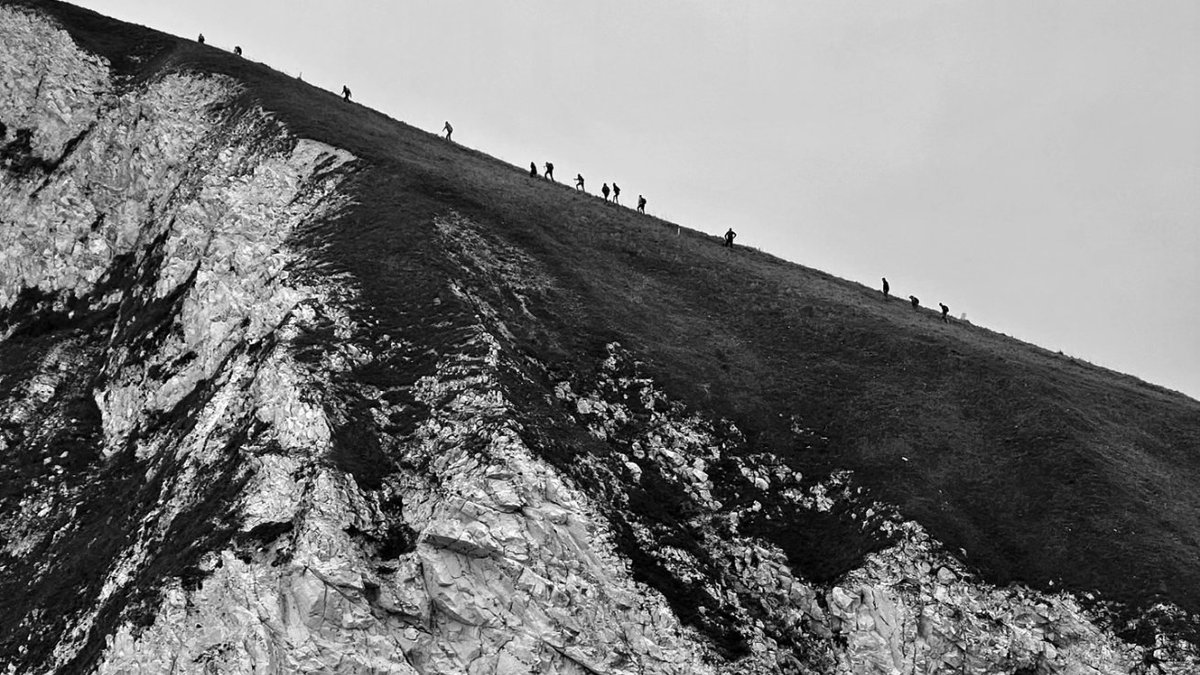 Justin Sargent tweet media