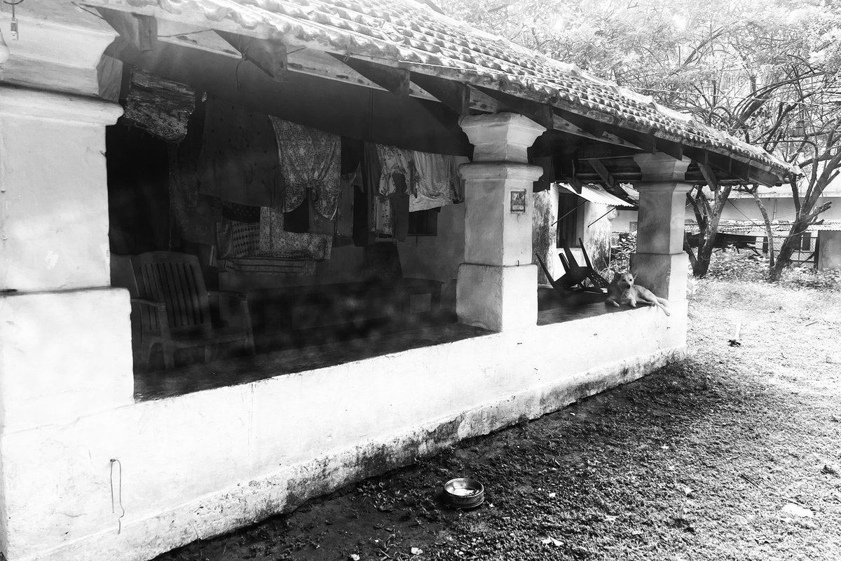 NdavisonR's tweet image. Sketching with iPhone &amp;amp; the Provoke app which I think worked nicely with the light in India 

Did take my Fuji of course but she’s marinating with some fisherman at dusk 
🖤🤍 #feelgoa