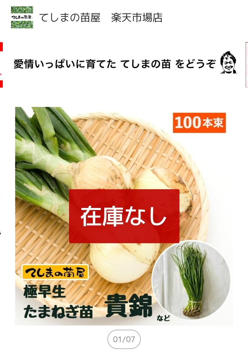 中生 赤玉サラダ 50本 苗 タマネギ 赤玉ねぎ 玉ねぎ 玉葱 玉ネギ 
