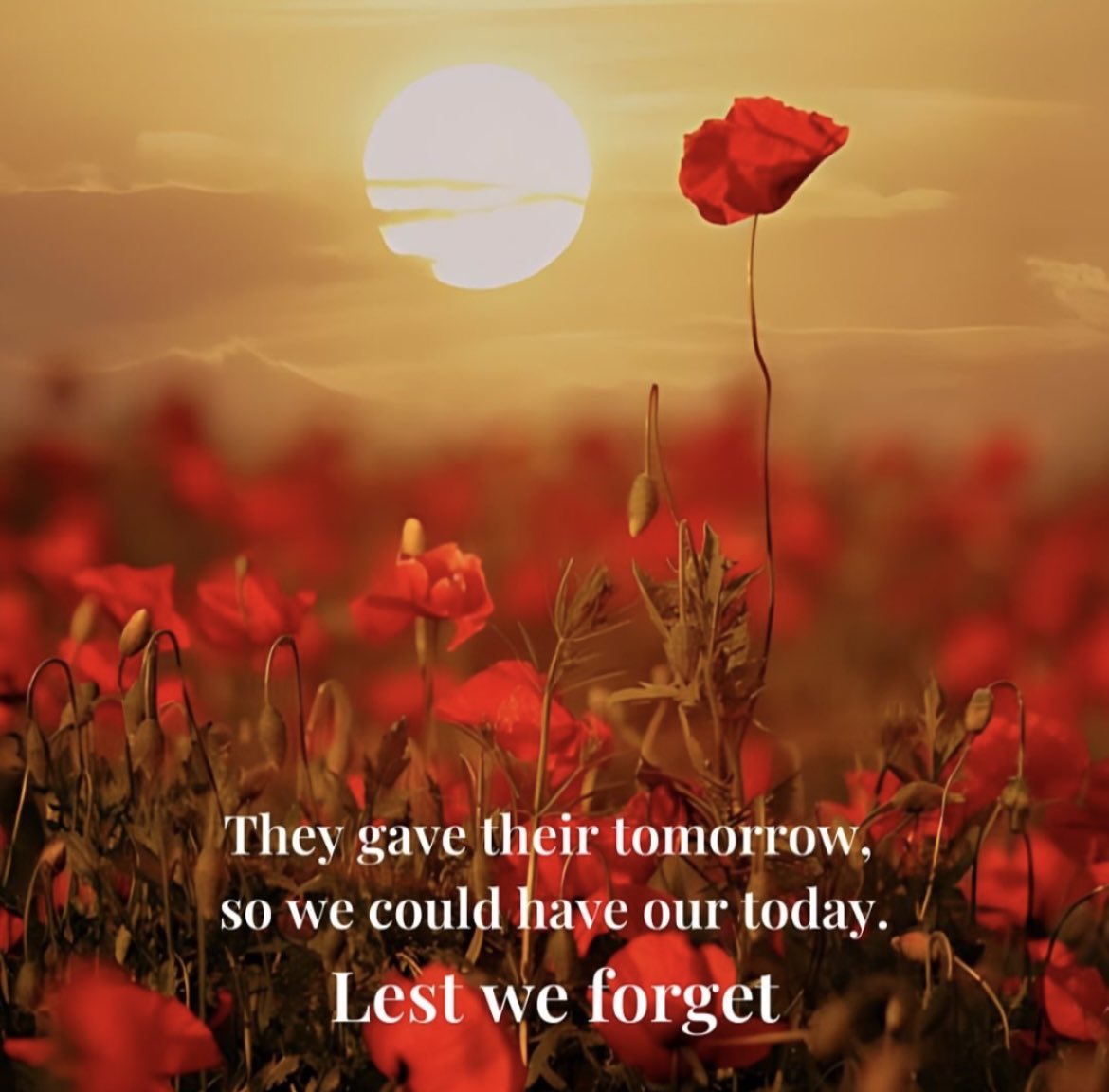 Andy Wilkinson tweet media