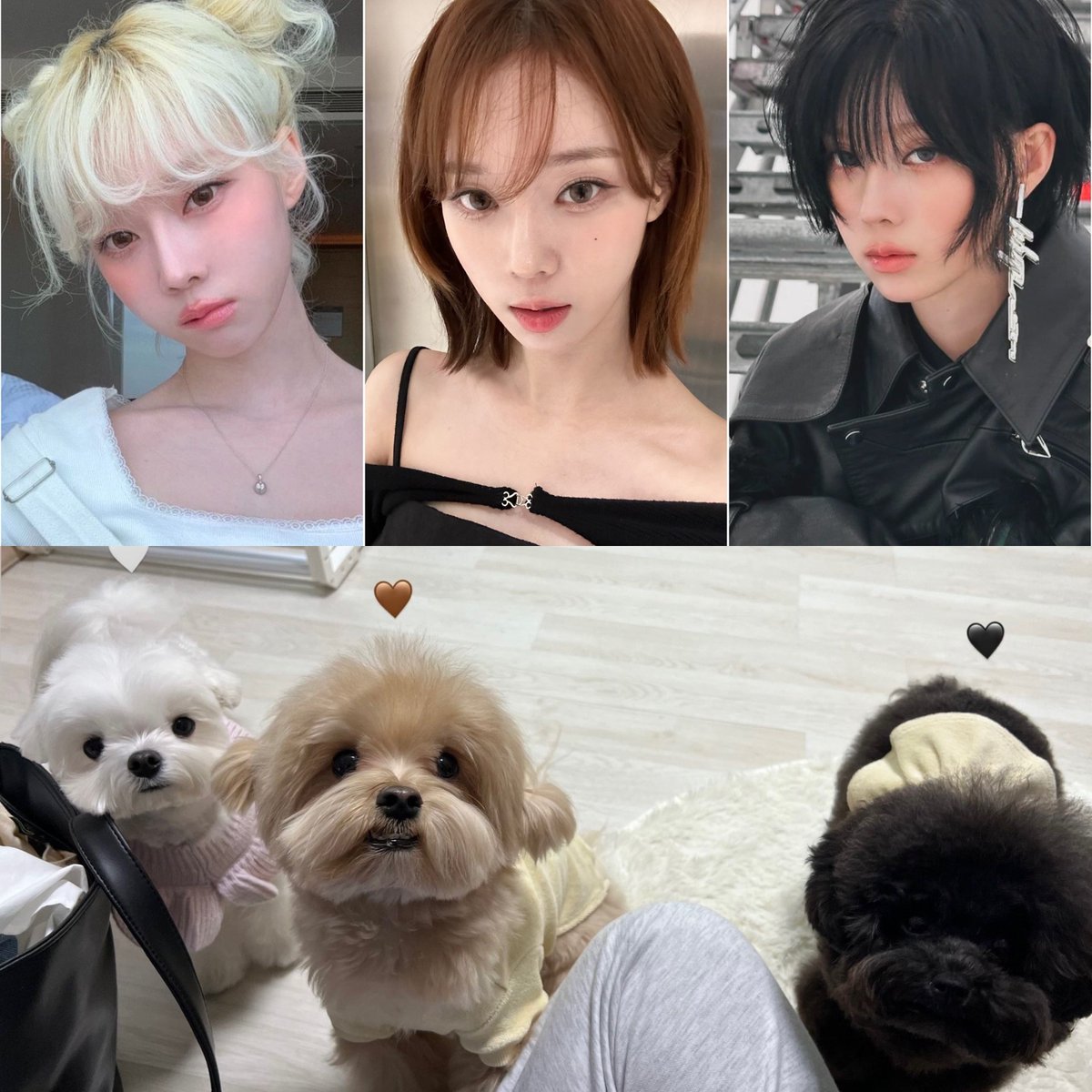 น้องหนาวเหมือนกันแค่คนละสี 🤍🤎🖤