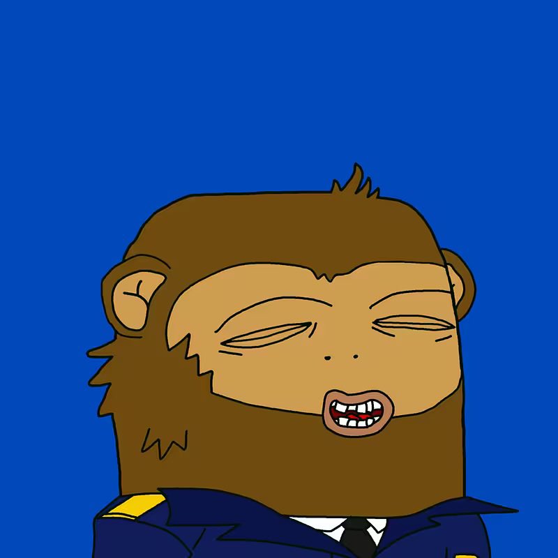 Gmonkee, it’s go time 🚀