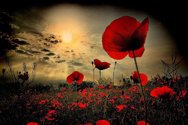 All of our pupils and staff will be joining together in our Remembrance Day Assembly tomorrow.  This animation cleverly highlights the brave actions of our Soldiers. youtu.be/pv_ub7Be7oA
