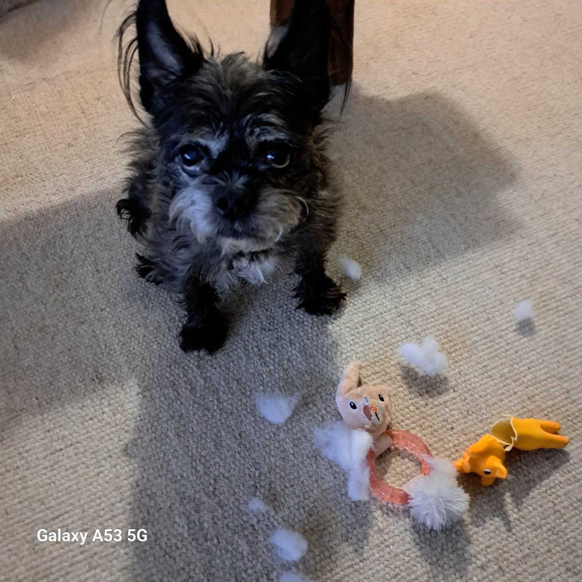 Hyvää isänpäivää kamut!
Halkaisin possun ja pupurenkaasta otin joulupukinparran talteen.