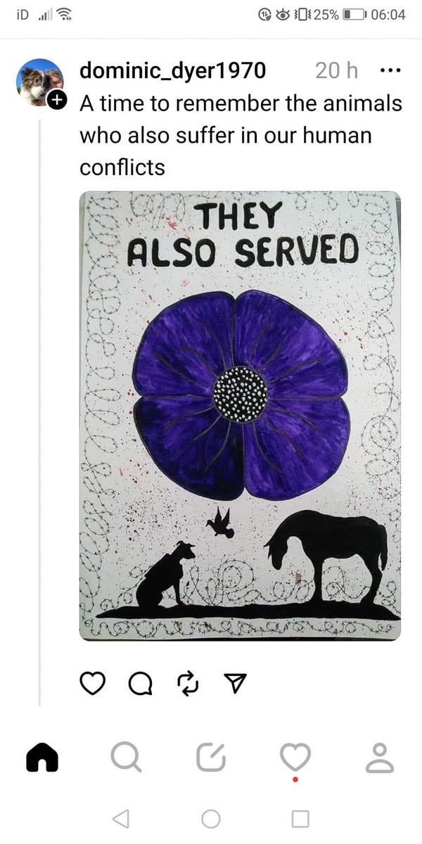 suehay44's tweet image. 