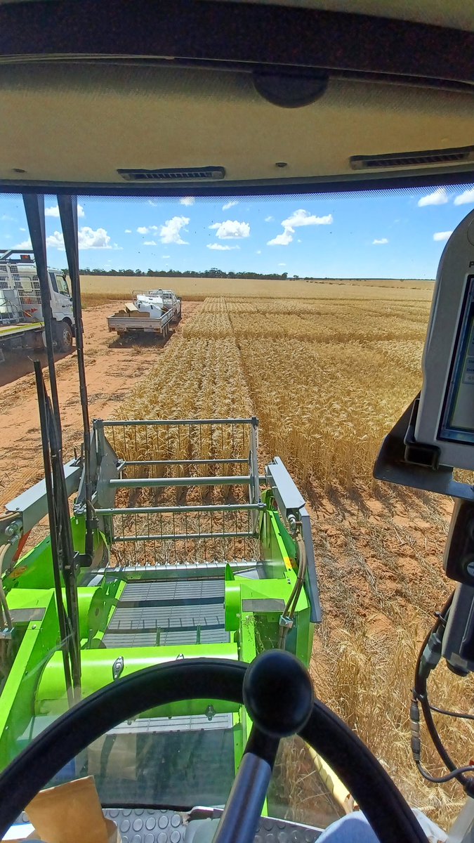 I wonder how long it would take to cut a hectare in the Quantum?