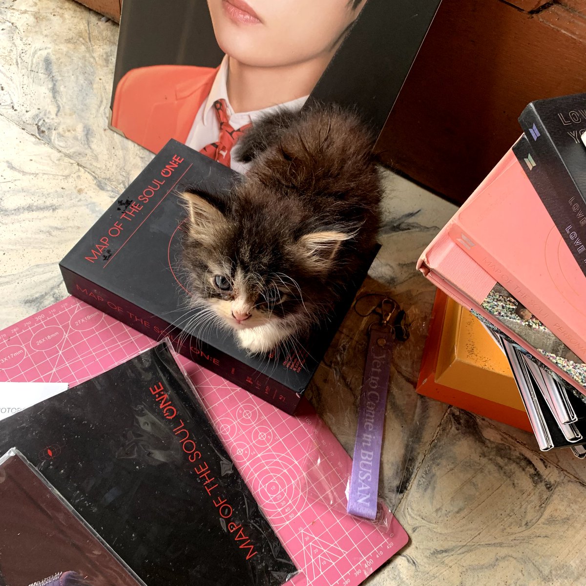 zetheexplorer's tweet photo. 🌷 album start 15rb 🌷
• album only
• dom medan
• exc adm pack
• bisa shopee (adm 10%)
• prefer take all (split bills)
• boleh keep event
#wts #wtb #albumbts https://t.co/t2GcoNvaKn