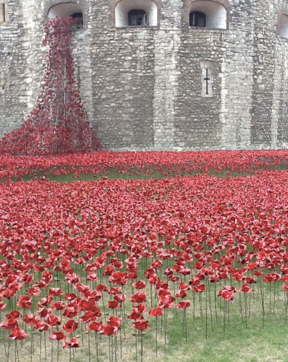 Carol Challis tweet media