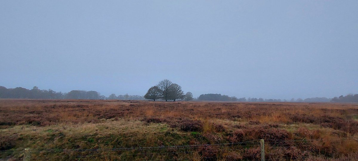 JustLien tweet media