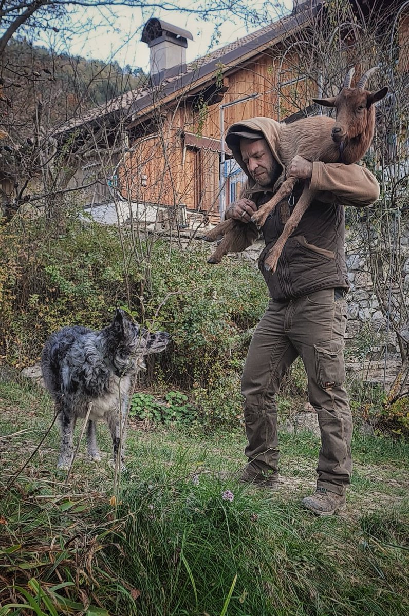 UndergrHound tweet picture