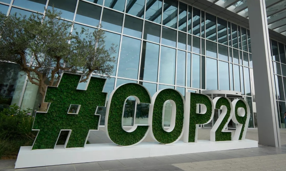 ArianaNews_'s tweet photo. Afghanistan to attend UN climate talks, first since IEA takeover

READ MORE ➡️https://t.co/vUg6OWvSkT

#COP29 #AfghanistanCOP29 #UNClimateSummit
#UNClimateTalks https://t.co/6lYePNYXr5
