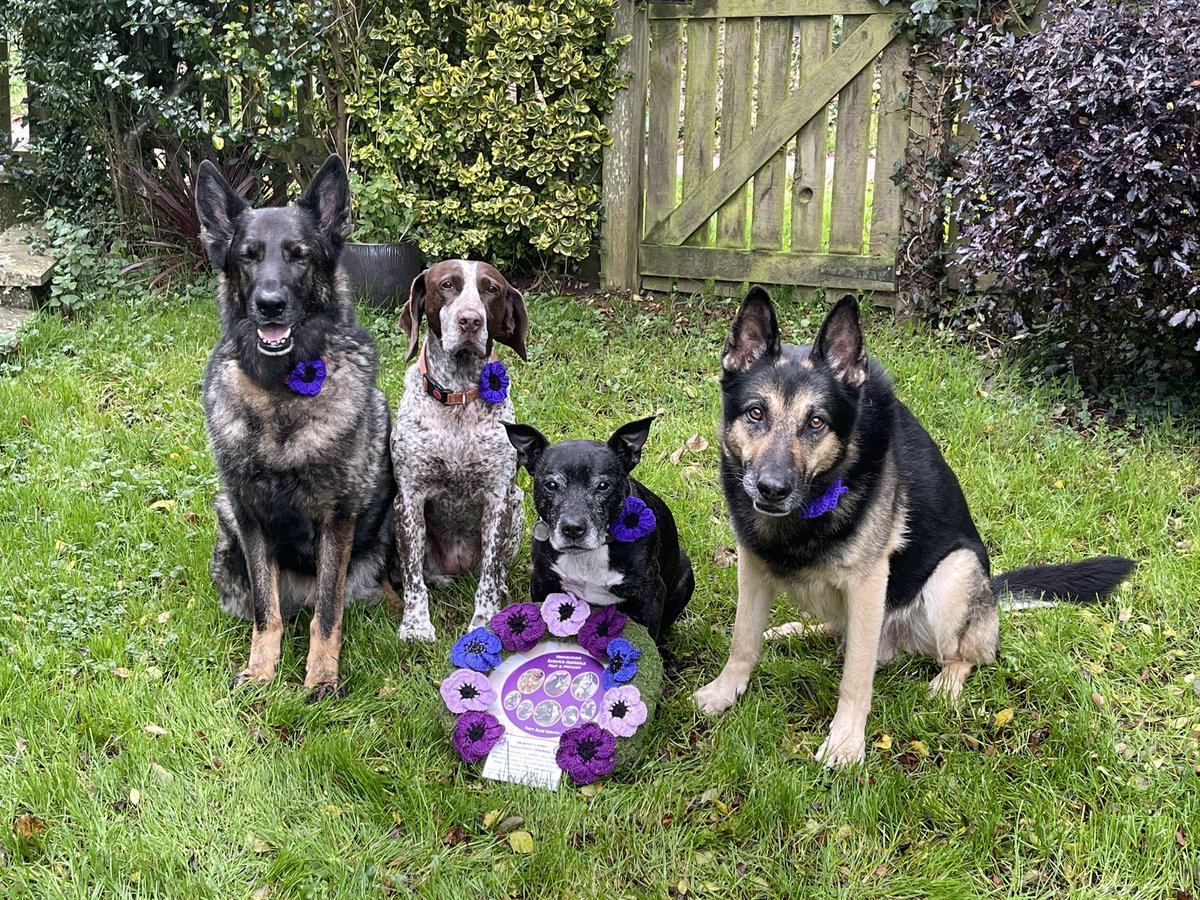 At the going down of the sun..
#WeWillRememberThem Remembering the sacrifice of our fallen soldiers &amp; Animals past and present, we honor &amp; remember all service members for their sacrifices and contributions that have protected us and continue to keep us safe #RememberanceDay2024