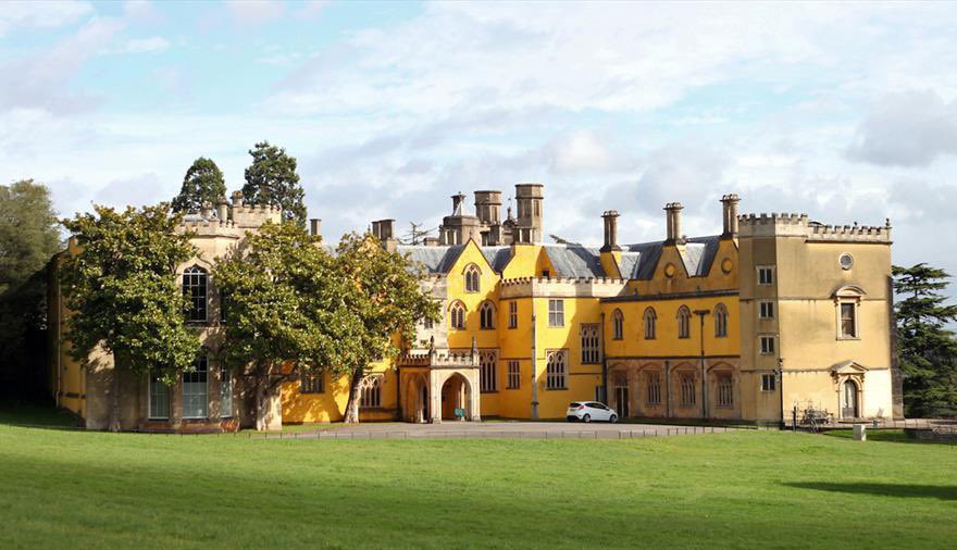 TheYoungOnes tweet media