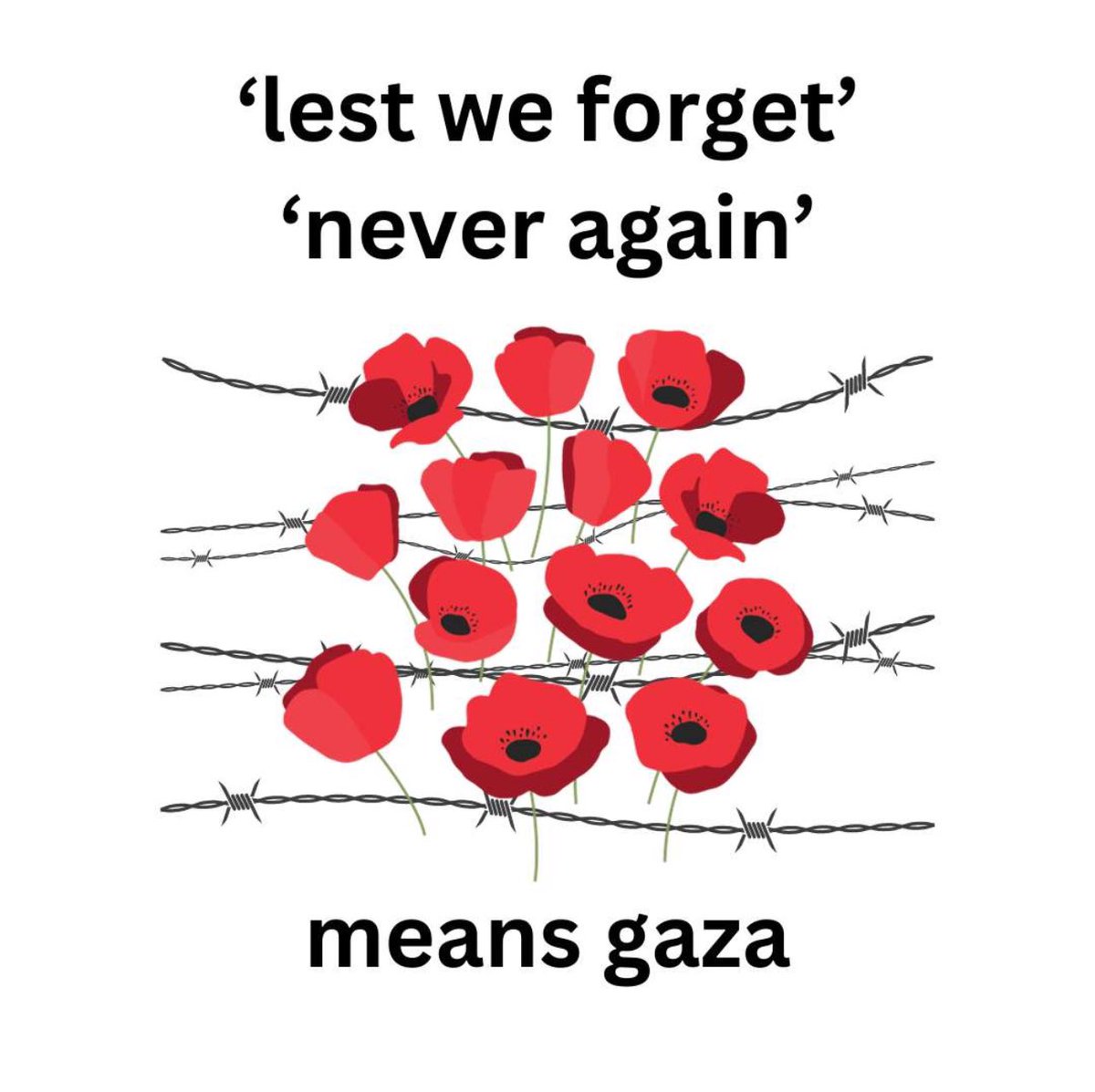 On #RemembranceSunday, honouring the fallen means making “never again” more than words—it demands we stand against atrocities wherever they happen, now and in the future.

Yesterday, I attended a powerful talk by Professor Nick Maynard, Consultant Upper GI Surgeon from Oxford, on