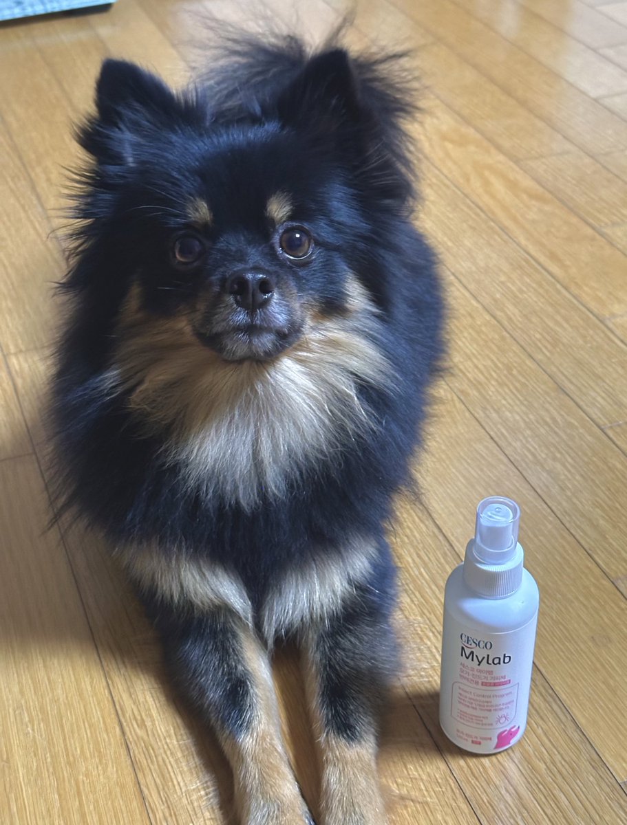 안녕하세요 조오디입니다! 이번에 이벤트에 당첨되어 세스코 모기기피제를 사용해보게 되었는데요!! 스프레이 형태라 골고루 잘 뿌려지고 무엇보다 ❗️무향❗️이라 너무 좋은 것 같아요..❣️ 알코올 향이 좀 나나..?싶다가 한 10초안에 사라지는 정도?! 넘 좋아요 감사히 잘 쓰겠습니다🖤 <a href="/CESCOmembers/">세스코</a>