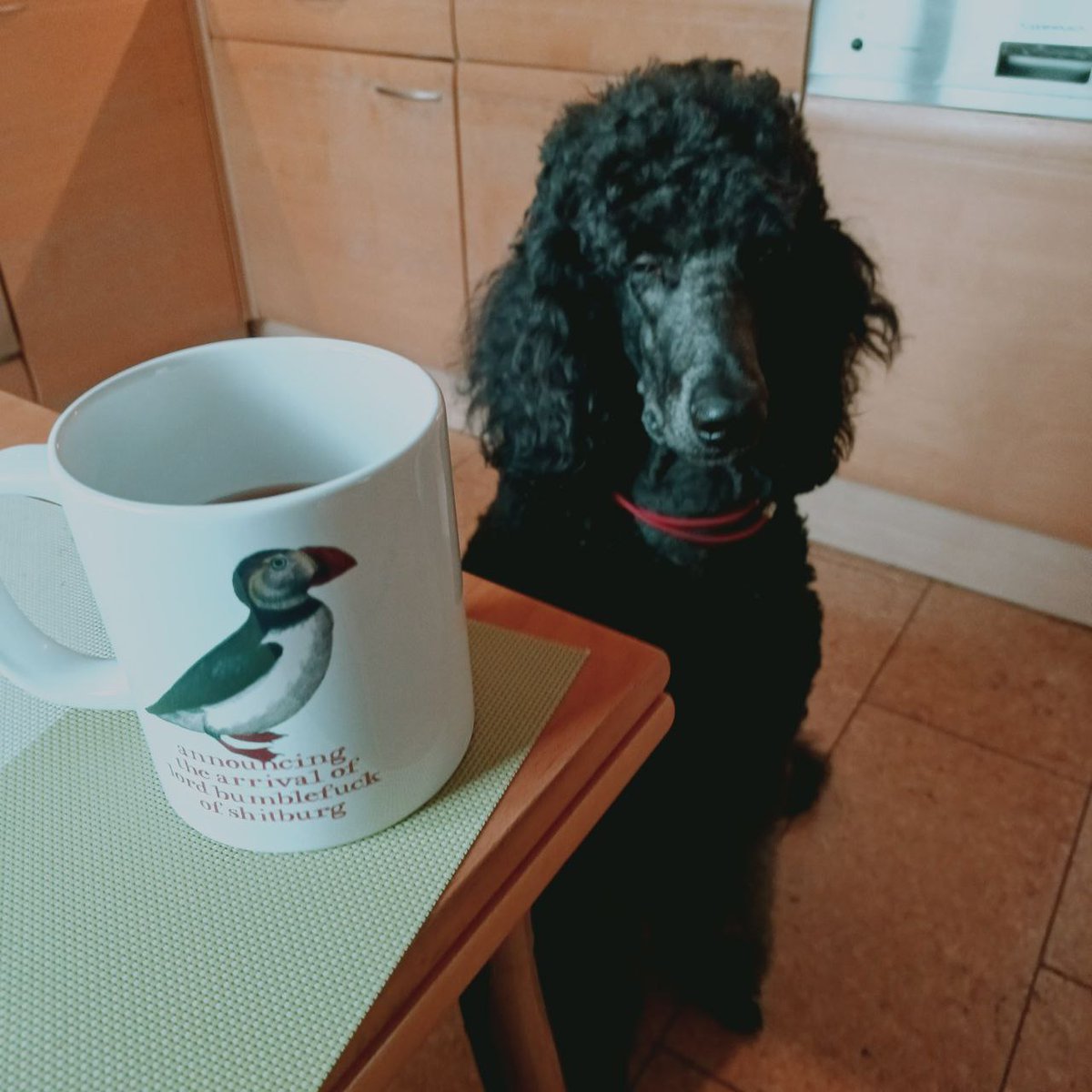 Peter Svidler tweet media