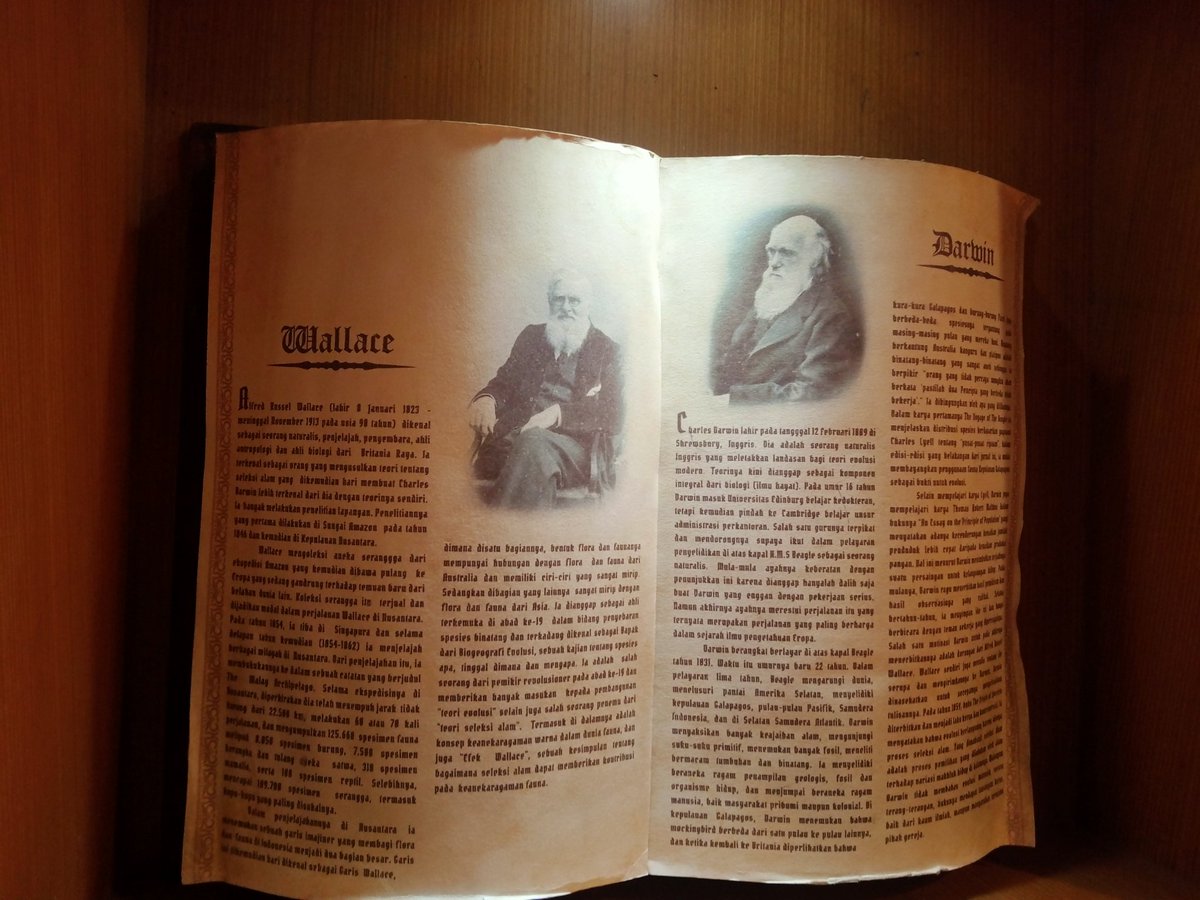 Menyelami sejarah manusia di Sangiran.