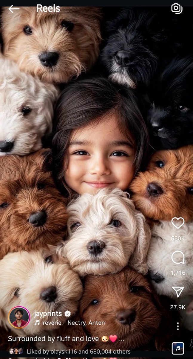 undergroundr08's tweet image. ⦿ It's Raining Cats and Dogs! &amp;amp; other Animals too! (@raincatsdogsetc) 🐱🐶🐬
    ➤ Just Dogs
      ☆ #JustDogs🐕
⦾ UndergroundLifeCo Photography &amp;amp; Videography (@undergoundr.graphy) 📸📹