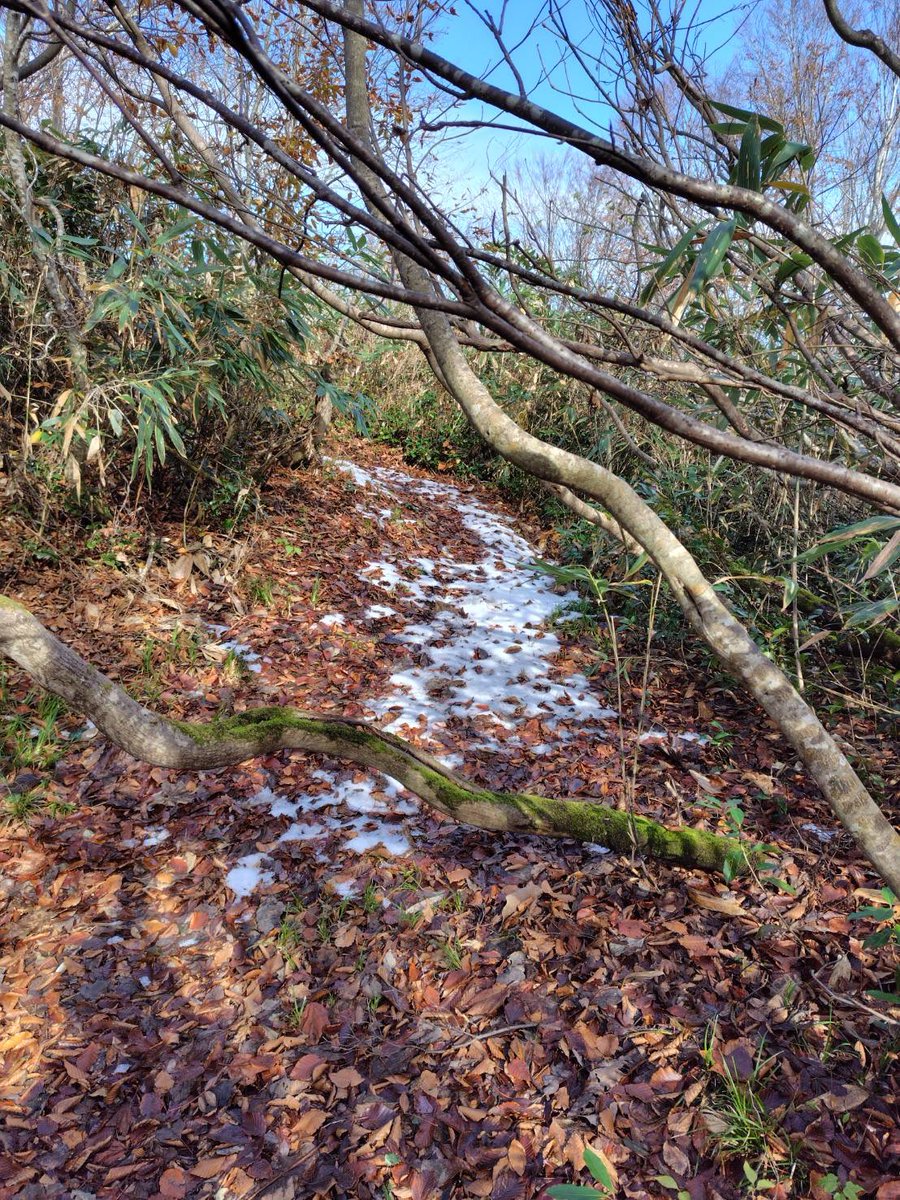tsunodg's tweet photo. 長野は雪降ったんだ🙀 https://t.co/sk6lHOw2JB