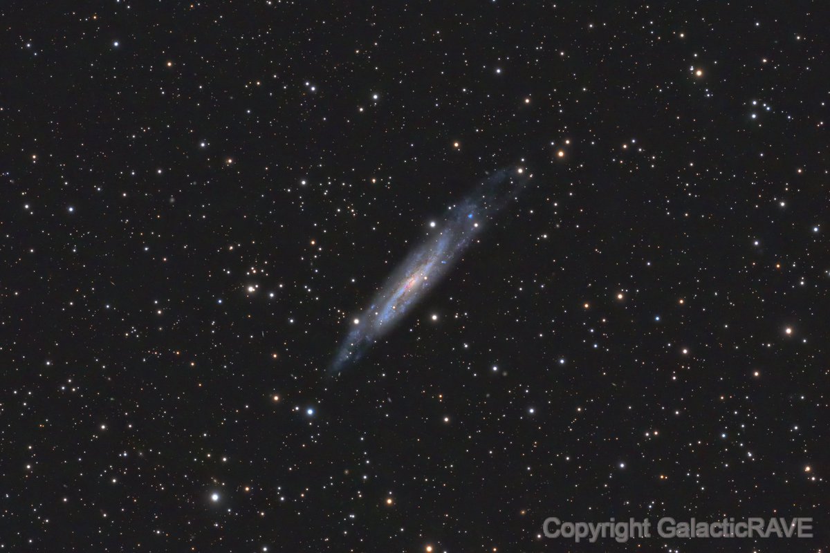 GalacticRAVE's tweet photo. NGC7640, the other galaxy in Andromeda. https://t.co/vREajbtBVW 🔭#astrophotography 🔭📷 https://t.co/7eJJYCFgKy
