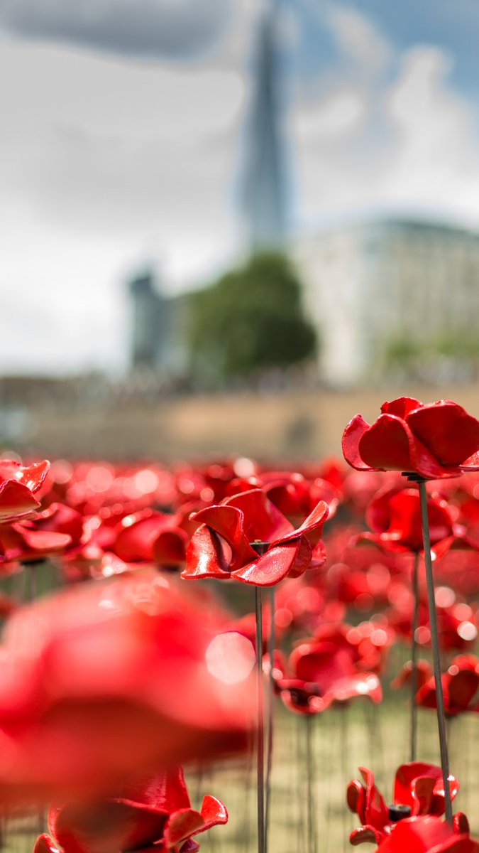 We will remember them.

📍 Blood Swept Lands and Seas of Red, Tower of London, 2014

#RemembranceSunday