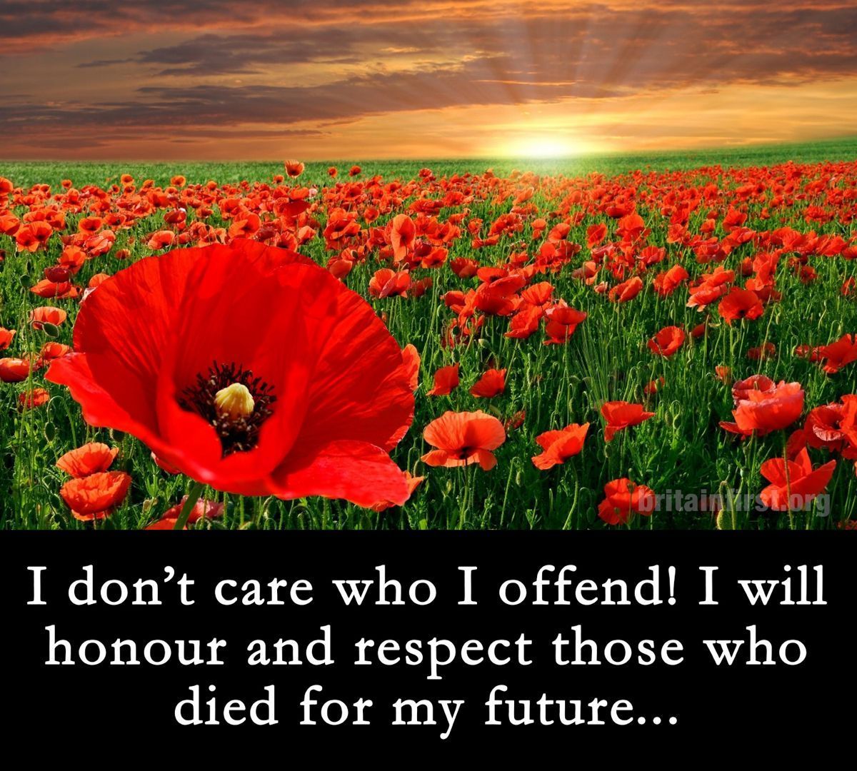 Amen! Our war heroes fought to protect this land from foreign invaders!