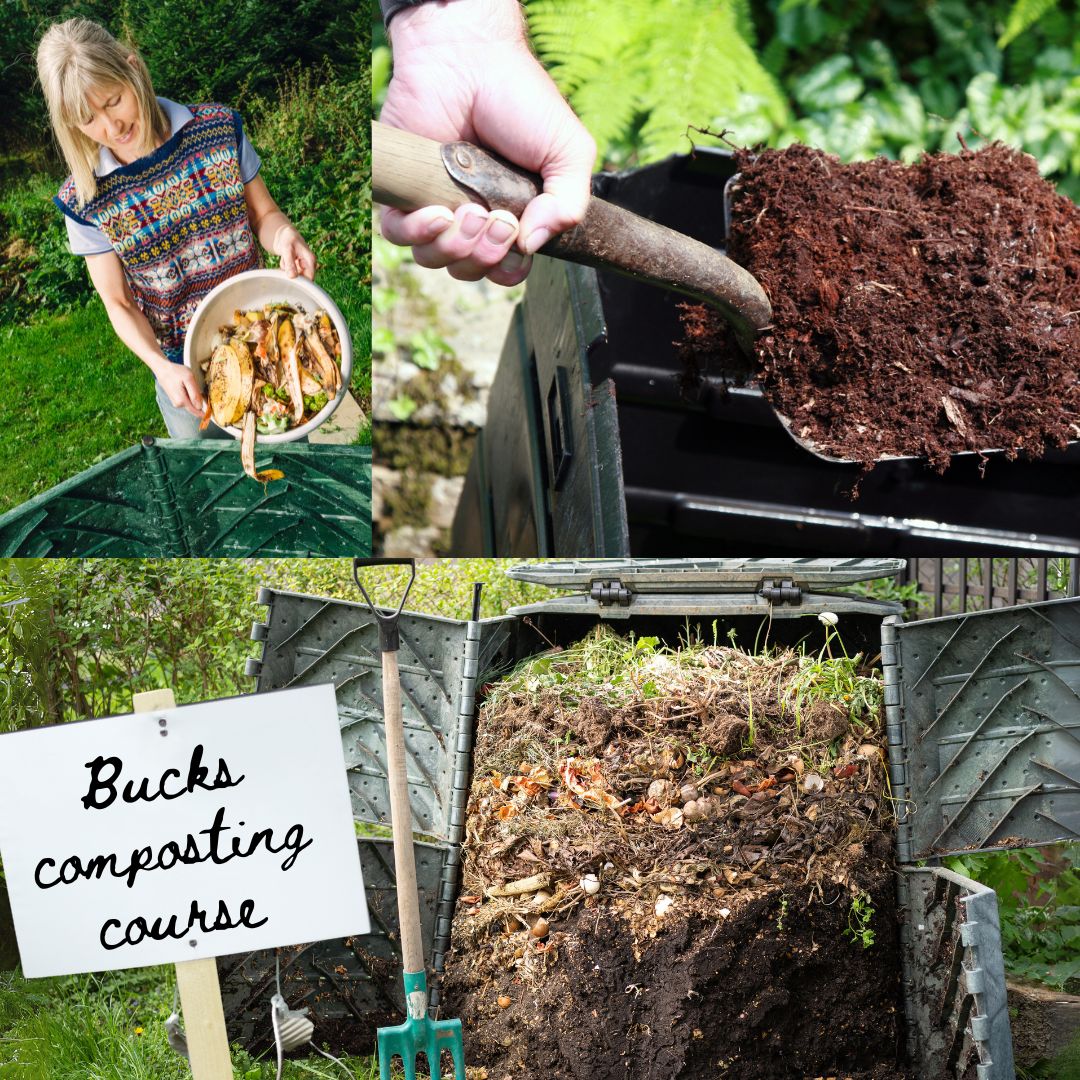 BucksRecycles's tweet photo. Provided by @GardenOrganicUK  in partnership with @BucksCouncil this free, online  course is full information on how compost, types of compost bin &amp; how to get started.  Find out more here:https://t.co/SZgr8nEkEG

 #Composting #CompostAtHome https://t.co/X9iIRLBJUJ
