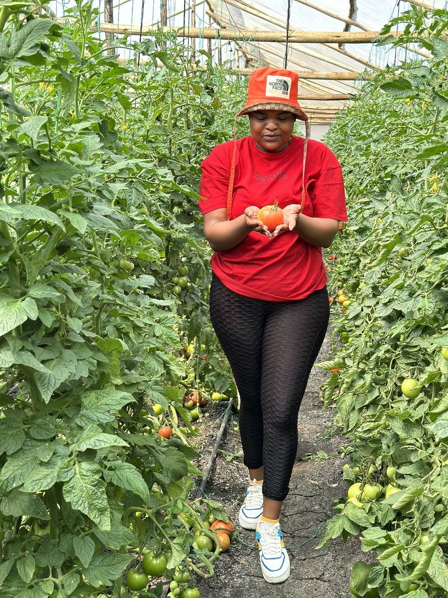 🦄 Agronomybae -IPM Queen👸 tweet media