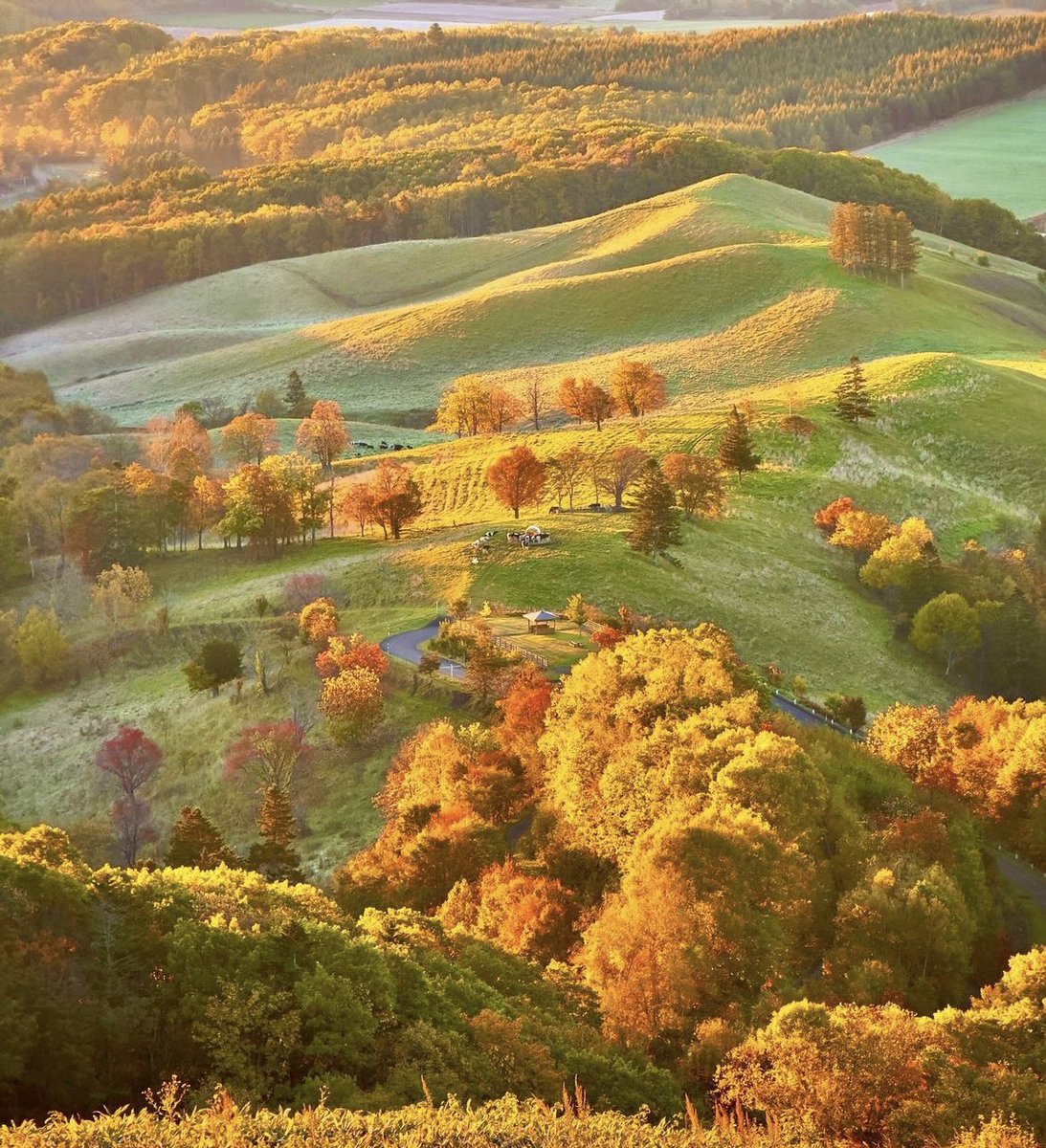 voshans's tweet image. Ochtendstemming… 
(Foto Iwaiwa Photography) #herfst 🍂 
#Kitami #Okhotsk #Hokkaido #Japan