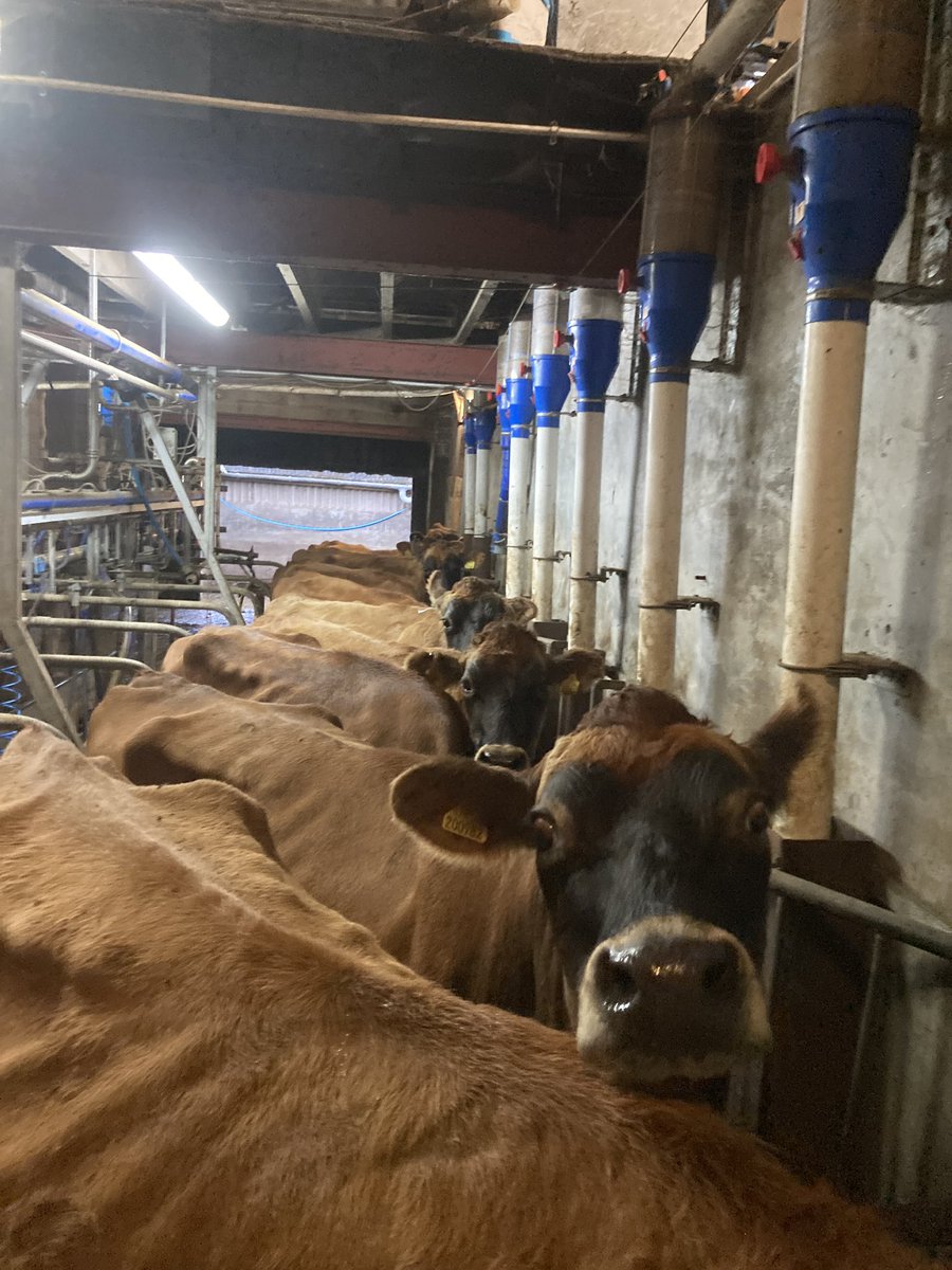 Simon Leverett 🇺🇦 tweet media