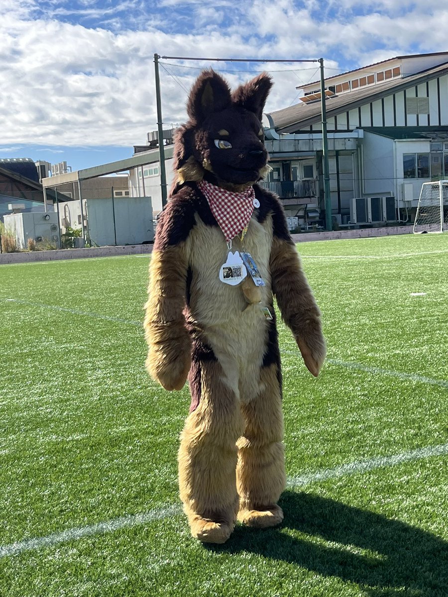 wolfmuzzle11's tweet photo. #Kemocon17
#こうくんかわいい
ずんずん近づくKOUくん
仕草がいぬいぬしてて可愛すぎる https://t.co/sGf7sgL5BP
