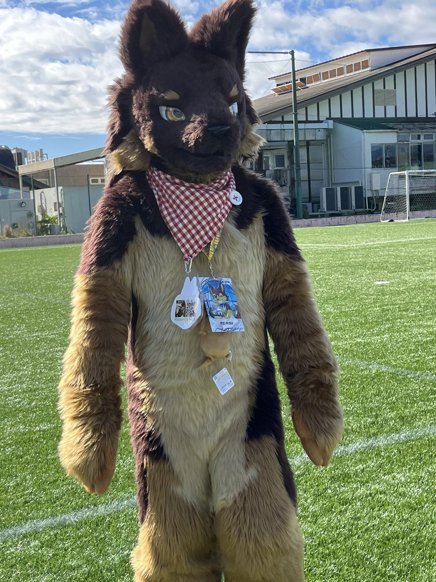 wolfmuzzle11's tweet photo. #Kemocon17
#こうくんかわいい
ずんずん近づくKOUくん
仕草がいぬいぬしてて可愛すぎる https://t.co/sGf7sgL5BP
