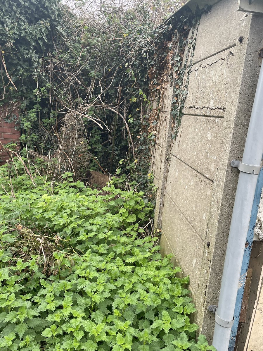 richards_james's tweet photo. Still no progress on sorting out the Hawthorn garages @sealand still dumping rubbish at side of them now guttering coming away from garages also ivy inside the garages @FlintshireCC @chrisjones4seal  reported it several times now !!! https://t.co/lerz4Jl8R3