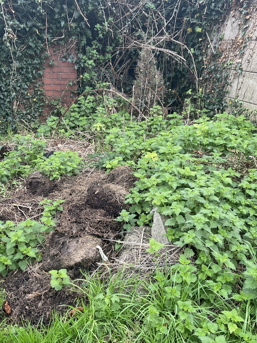 richards_james's tweet photo. Still no progress on sorting out the Hawthorn garages @sealand still dumping rubbish at side of them now guttering coming away from garages also ivy inside the garages @FlintshireCC @chrisjones4seal  reported it several times now !!! https://t.co/lerz4Jl8R3