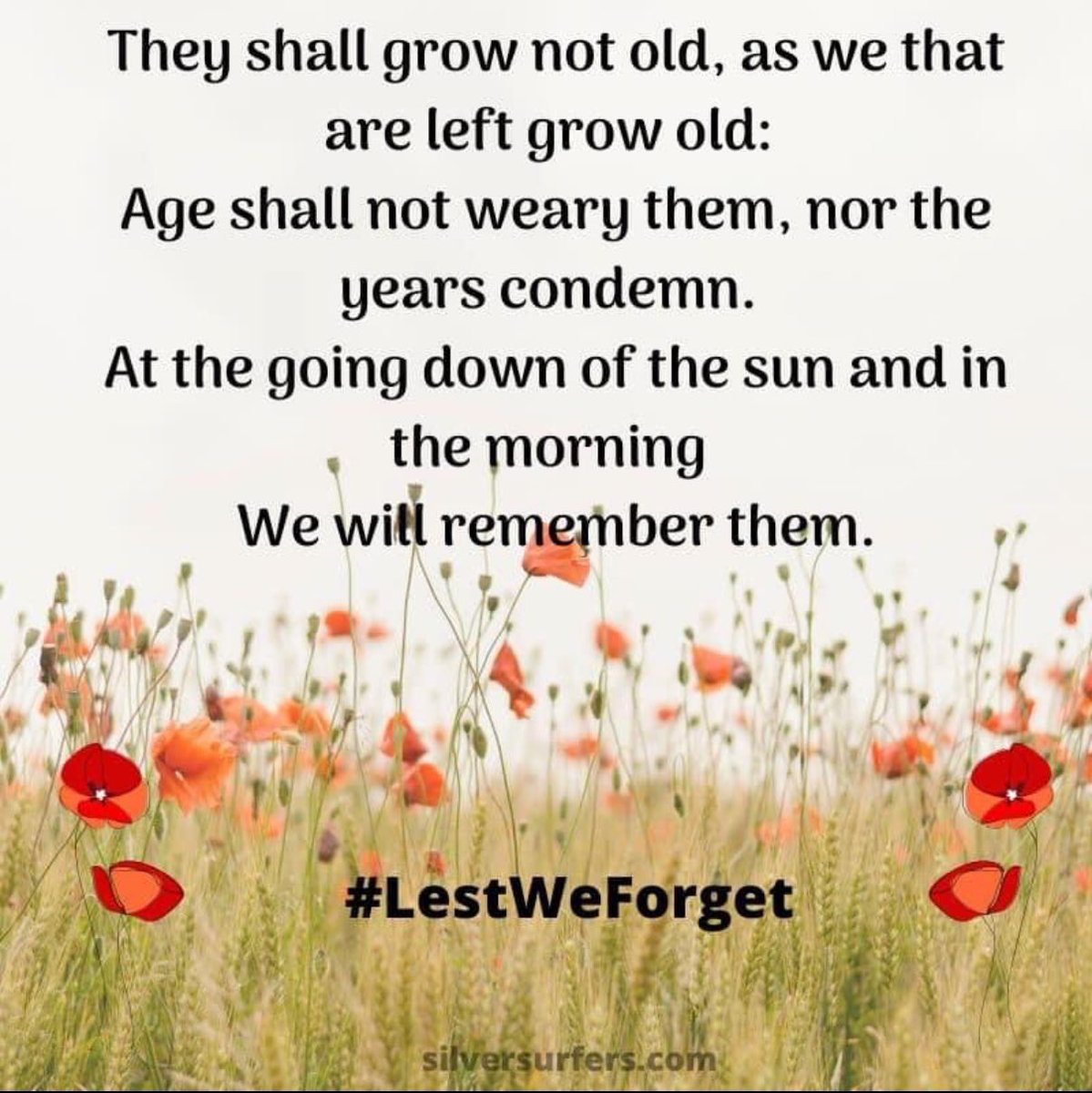 Lest we forget .....🥀#rememberancesunday