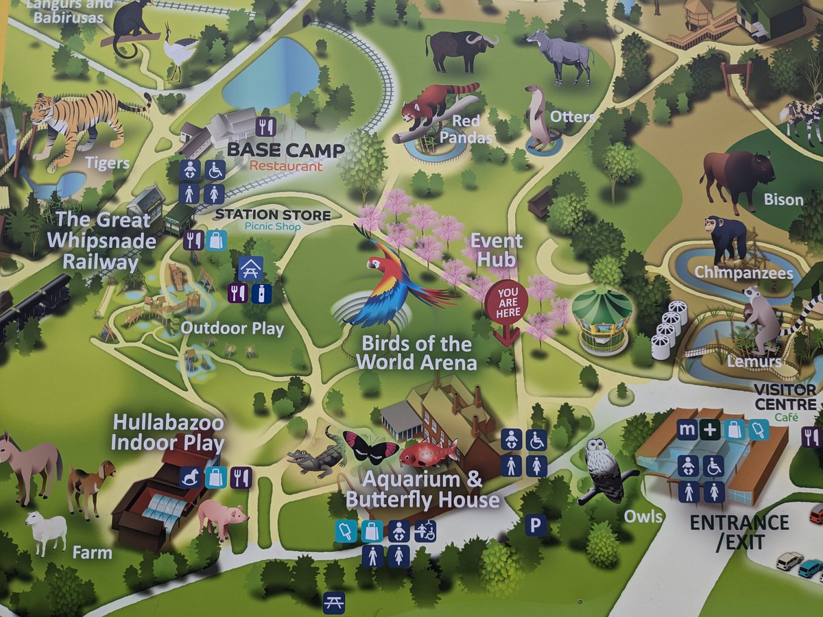 Clare Lucas tweet media