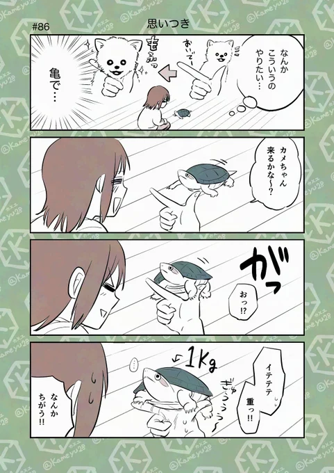 亀飼い4コマ「思いつき」 