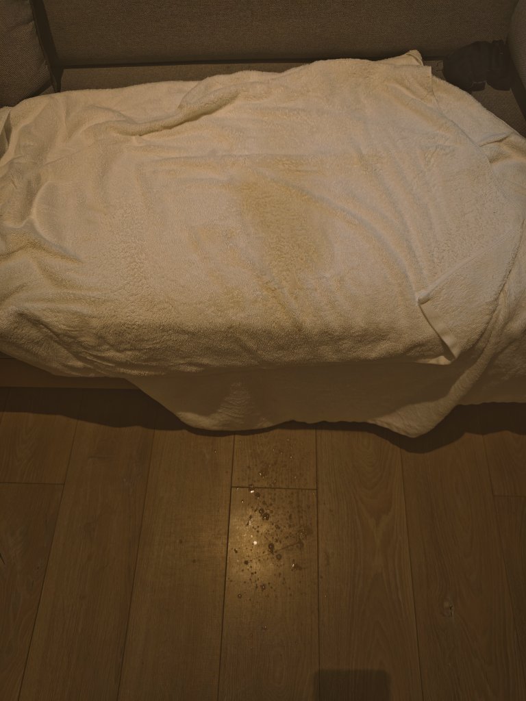 东北小狼狗拾玖🍆(4.9-4.18BKK) tweet media