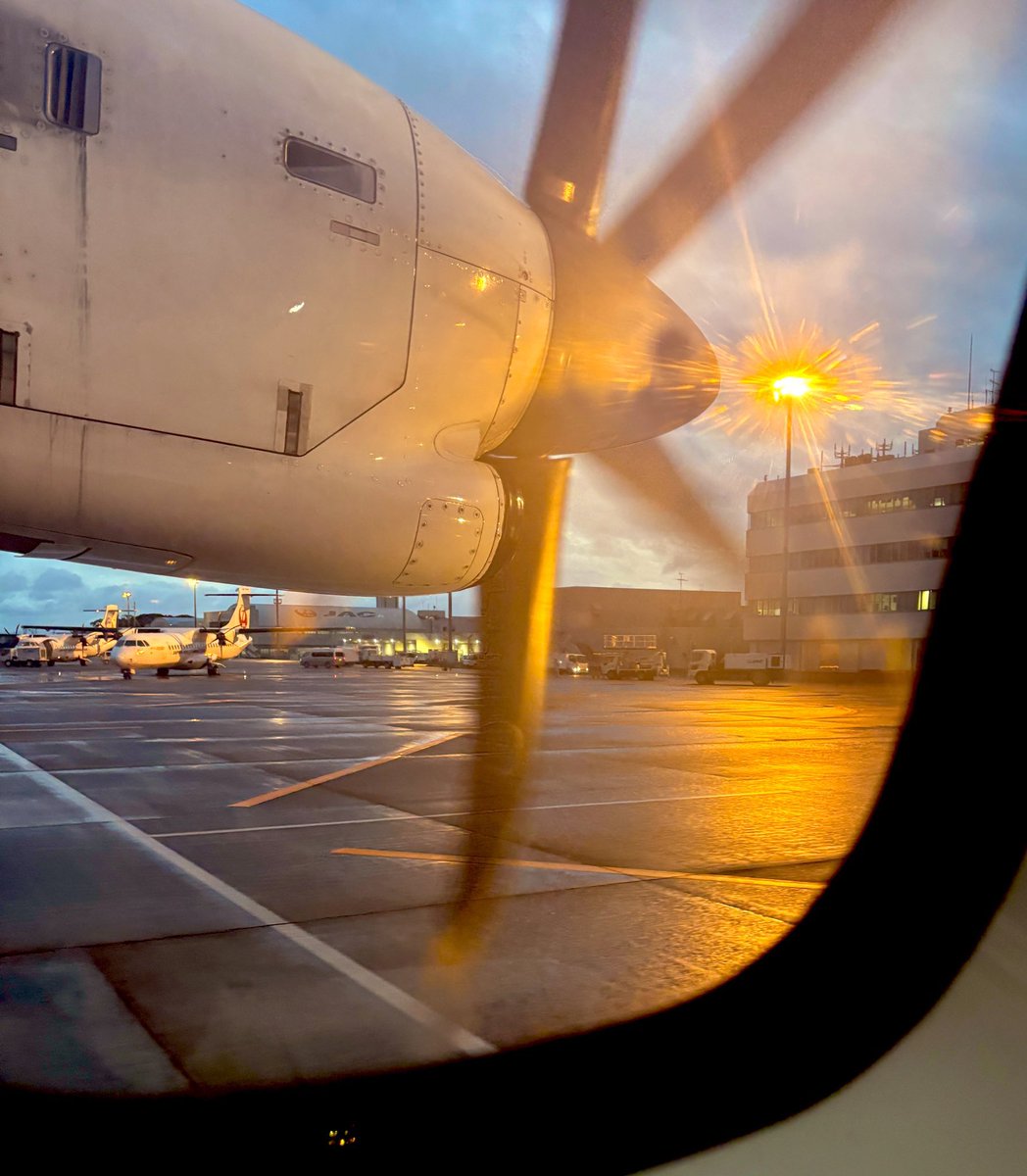 えみるう tweet media