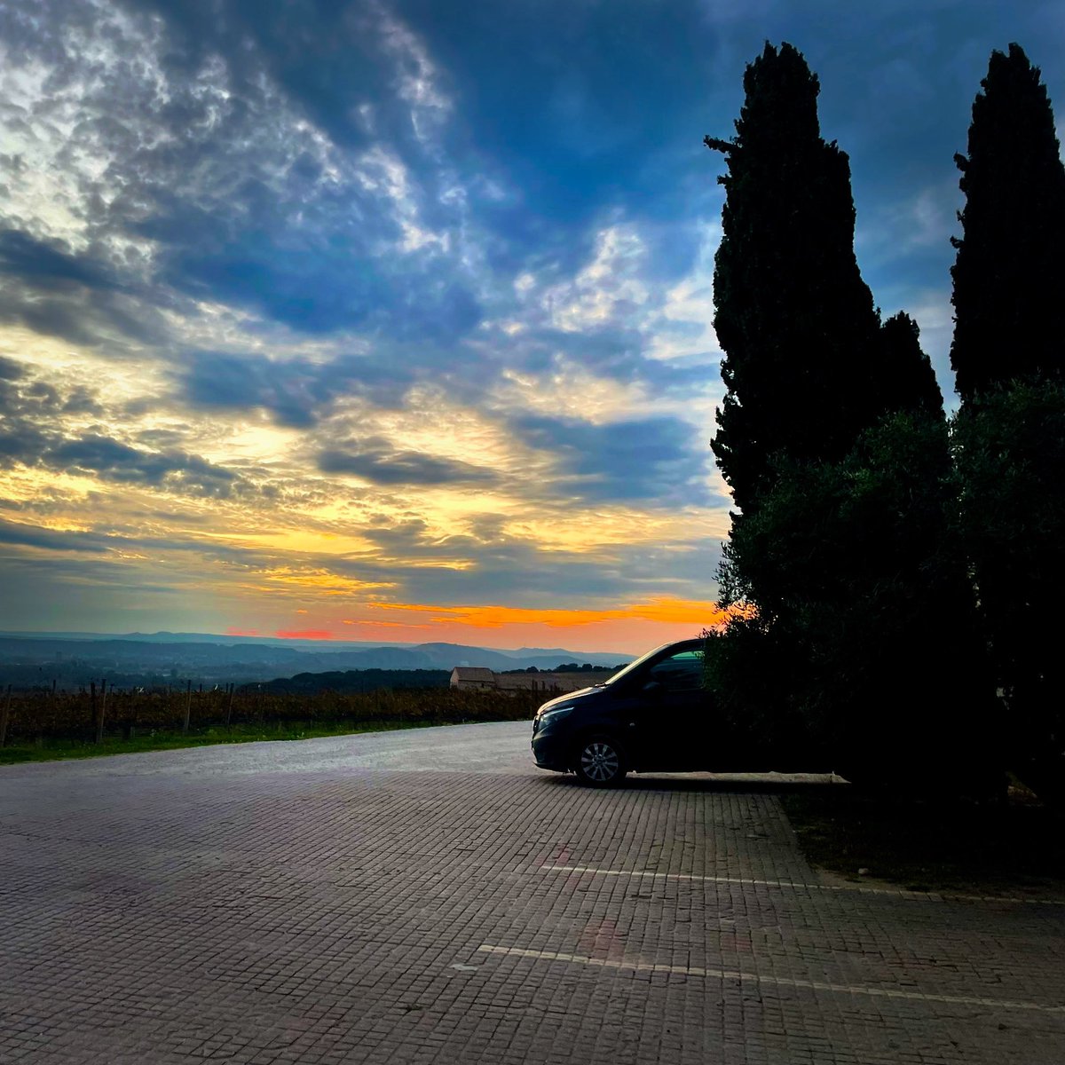 Greetings from Châteauneuf-du-Pape! We’re here to taste and fill the van.